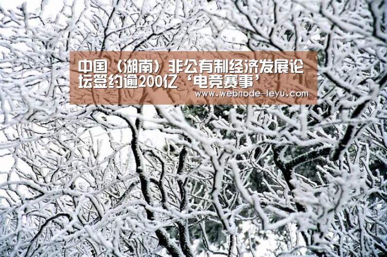 中国（湖南）非公有制经济发展论坛签约逾200亿‘电竞赛事’