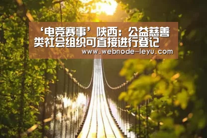 ‘电竞赛事’陕西:公益慈善类社会组织可直接进行登记(图1) 乐鱼体育平台
