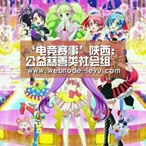 ‘电竞赛事’陕西:公益慈善类社会组织可直接进行登记(图3) 游戏竞技