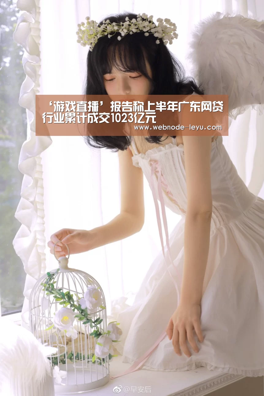 ‘游戏直播’报告称上半年广东网贷行业累计成交1023亿元(图2) 游戏直播