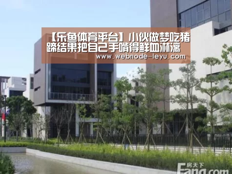 乐鱼体育平台